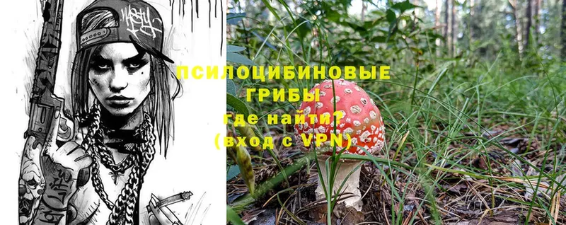 Псилоцибиновые грибы Psilocybe  MEGA зеркало  Гремячинск  наркота 